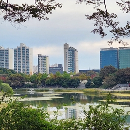 피드에 업로드 된 이미지