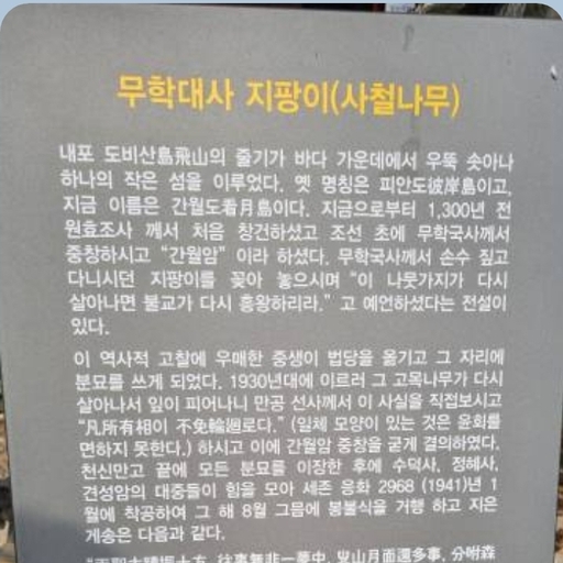 피드 이미지