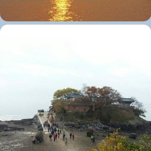 피드 이미지