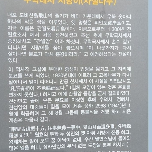 피드 이미지