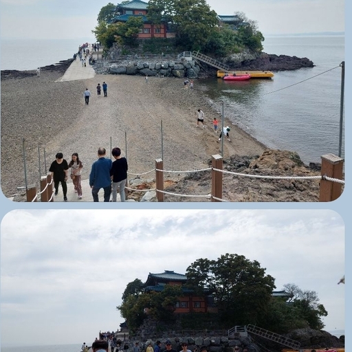 피드 이미지