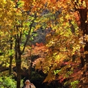 참가 유저 프로필