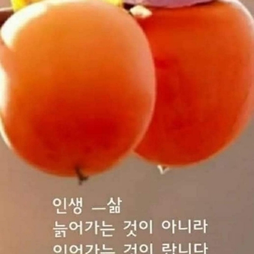 피드 이미지