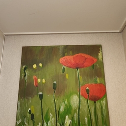 피드에 업로드 된 이미지