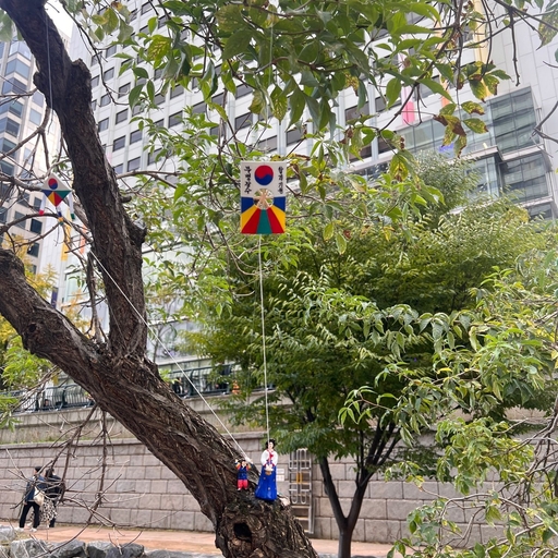 피드 이미지