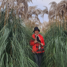 피드에 업로드 된 이미지