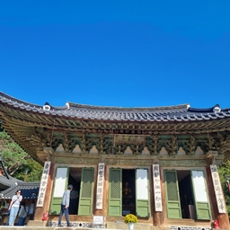 피드에 업로드 된 이미지