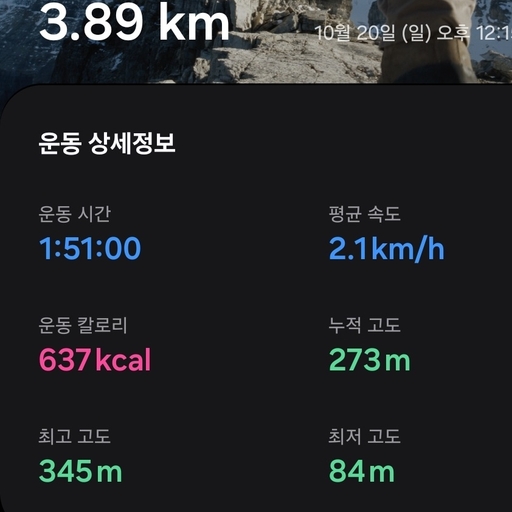 피드 이미지