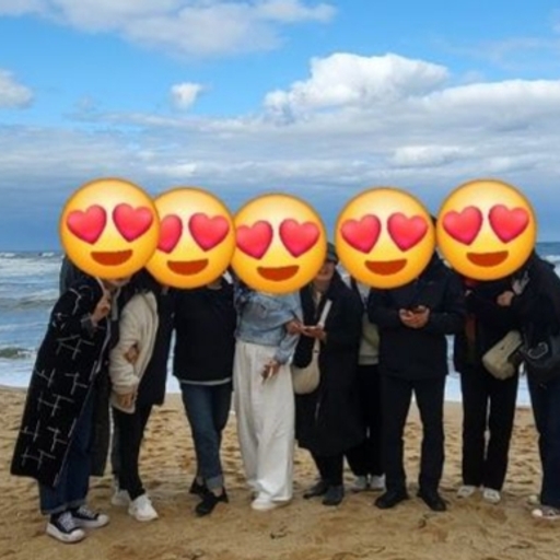피드 이미지