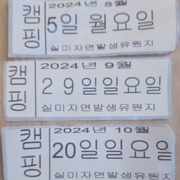 피드에 업로드 된 이미지