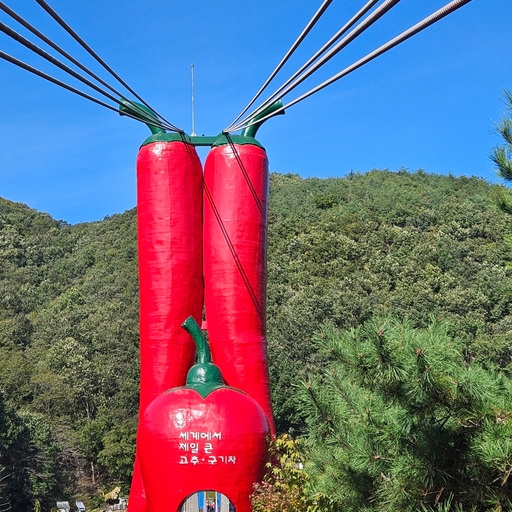 피드 이미지