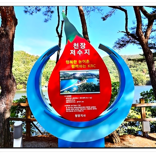 피드 이미지