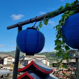 피드에 업로드 된 이미지