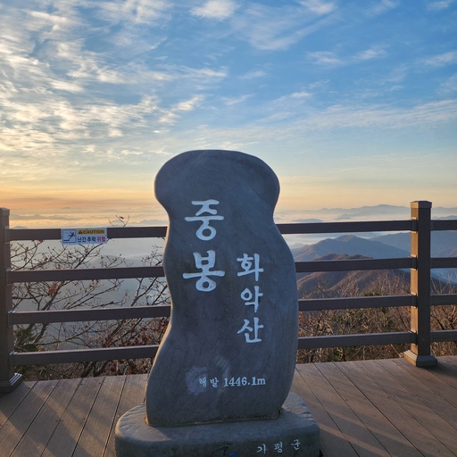 피드 이미지
