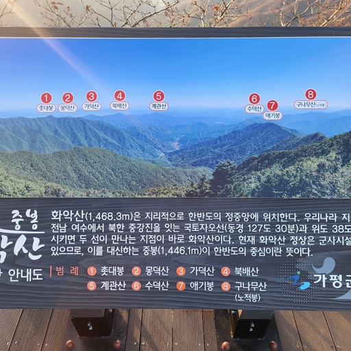 피드 이미지