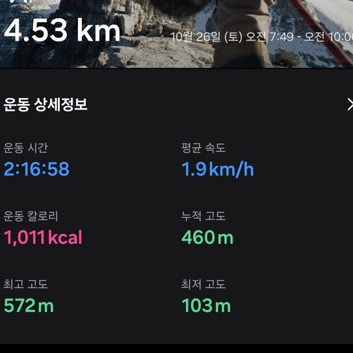 피드 이미지