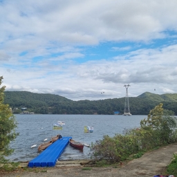 피드에 업로드 된 이미지