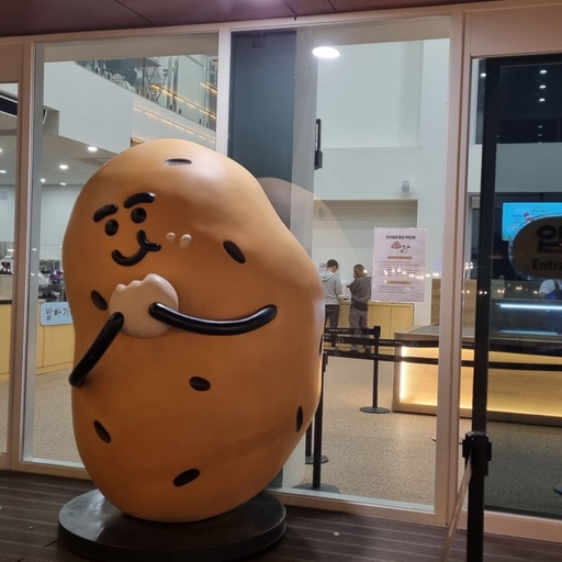 피드 이미지