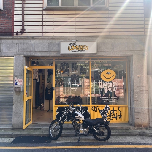 피드 이미지