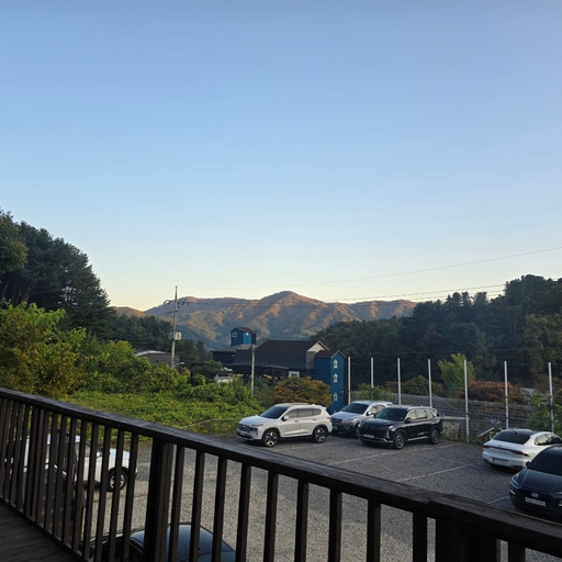 피드 이미지