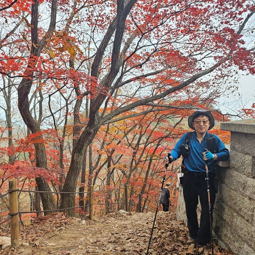 피드 이미지