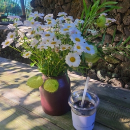 피드에 업로드 된 이미지