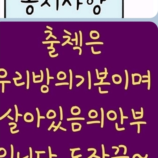 피드 이미지