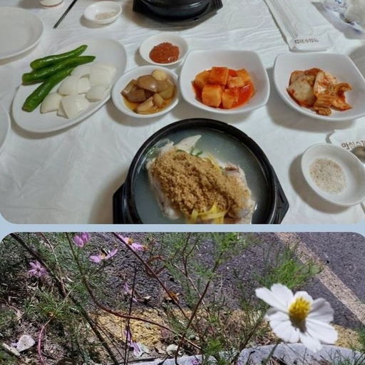 피드 이미지