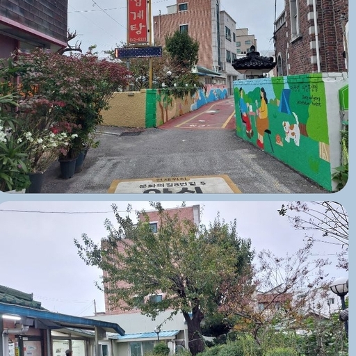 피드 이미지