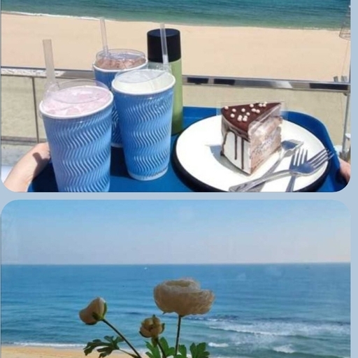 피드 이미지