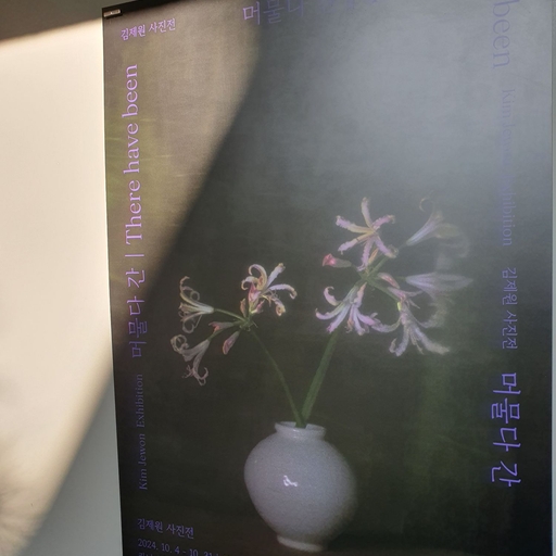 피드 이미지
