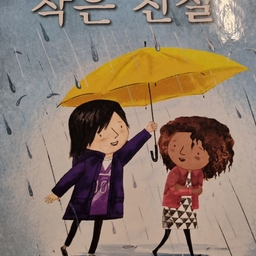 피드에 업로드 된 이미지