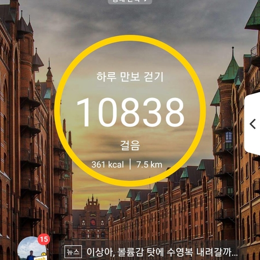 피드 이미지
