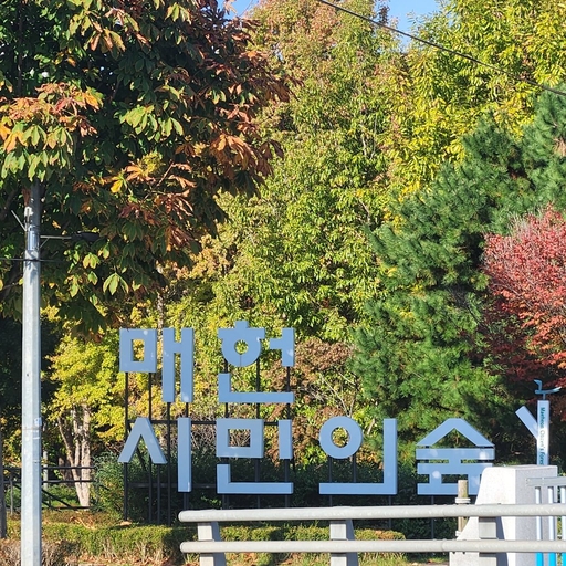 피드 이미지