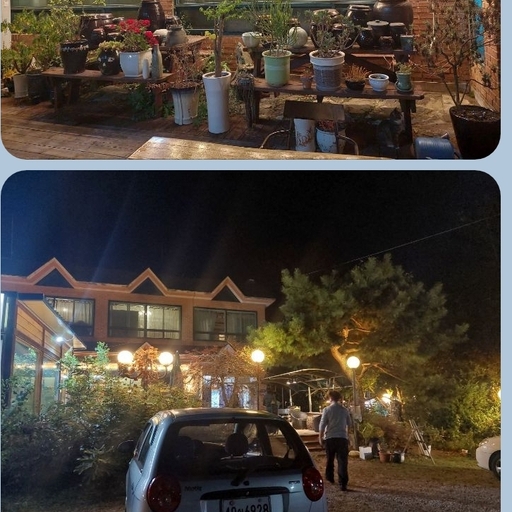 피드 이미지