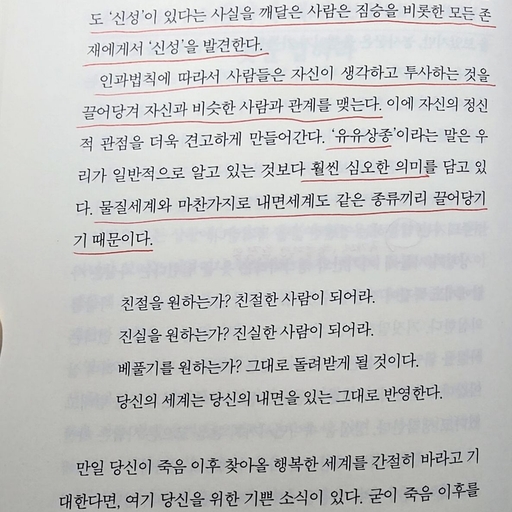 피드 이미지