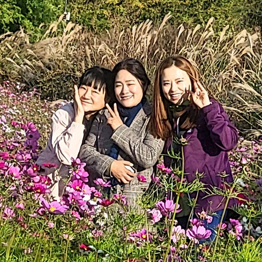 피드 이미지