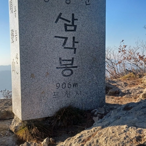 피드 이미지