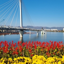 피드에 업로드 된 이미지