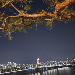 피드에 업로드 된 이미지
