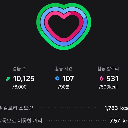 피드 이미지