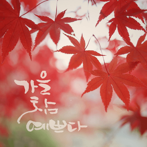 피드 이미지