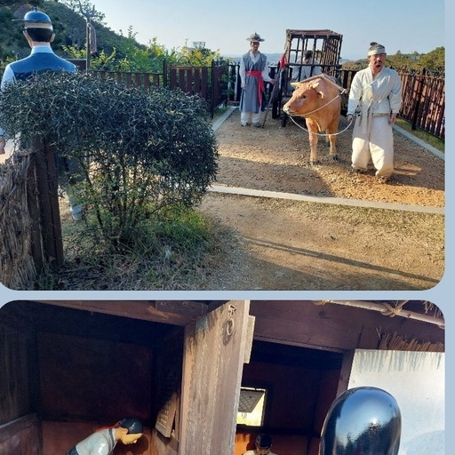 피드 이미지