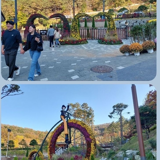 피드 이미지