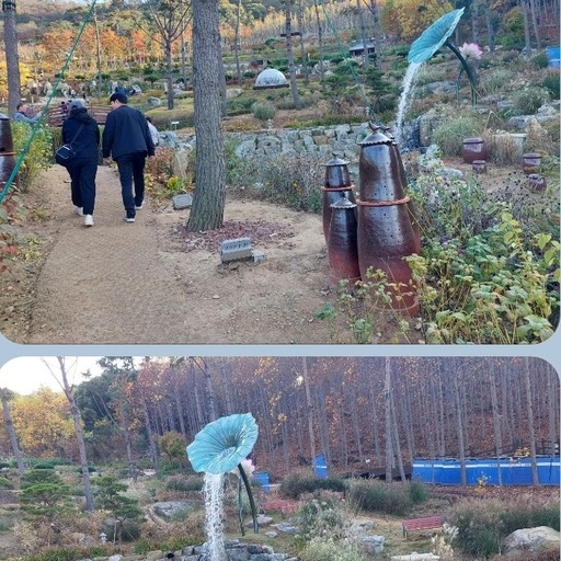 피드 이미지