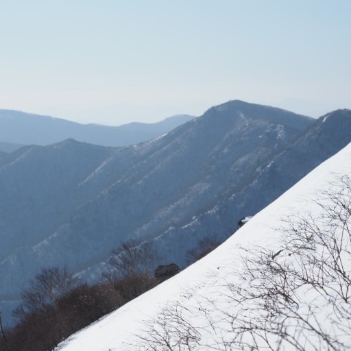 피드 이미지