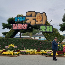 피드에 업로드 된 이미지