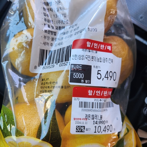 피드 이미지