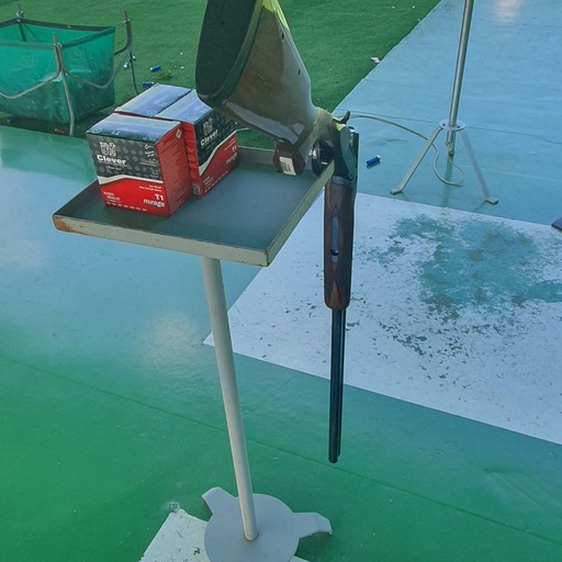 피드 이미지