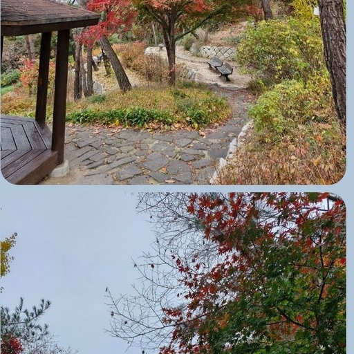 피드 이미지